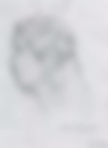 Bust of a young woman (preview)