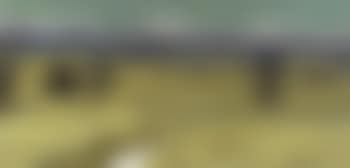 Field landscape in summer (preview)