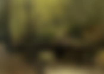 Wooded landscape with figure (preview)