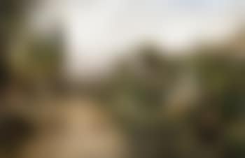 Southern garden landscape (preview)