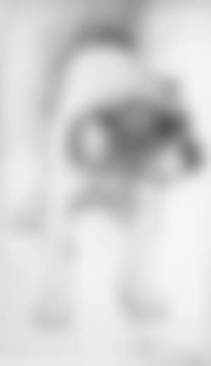 Bulldog (preview)