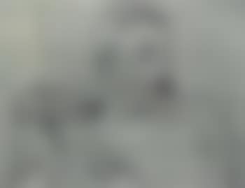 Portrait of Arthur Roessler (preview)