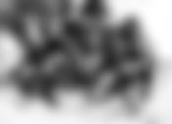 Horse tamers (preview)