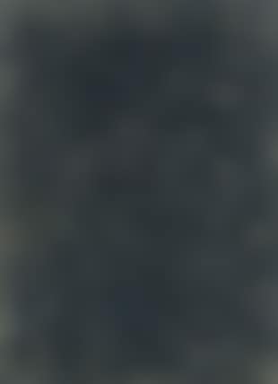 Ash picture (preview)