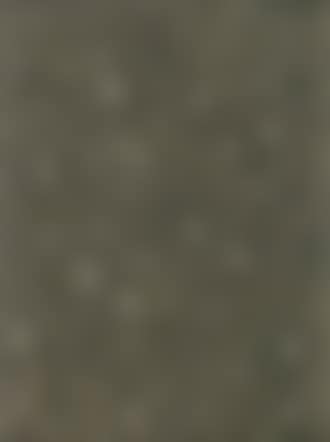 Ash picture (preview)
