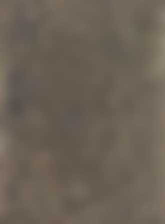 Ash picture (preview)
