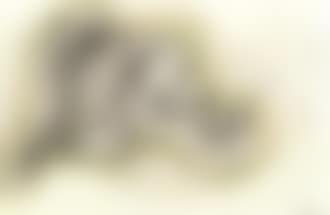 Dog (preview)