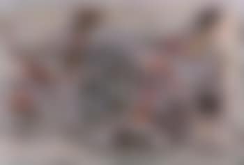 Composition (preview)