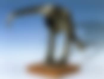Figure (preview)