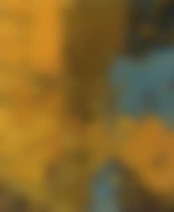 Untitled composition (preview)