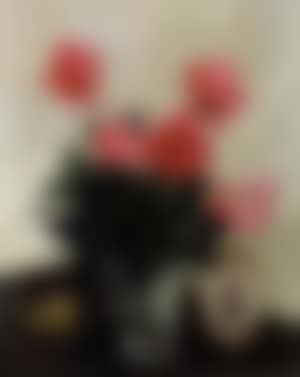 Still life of photograph and pink roses in glass jug (preview)