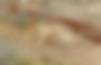 In the sand - nude on beach (preview)