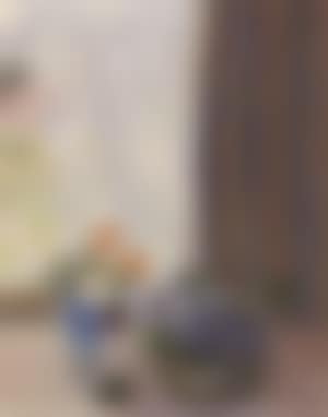 Flowers by window (preview)