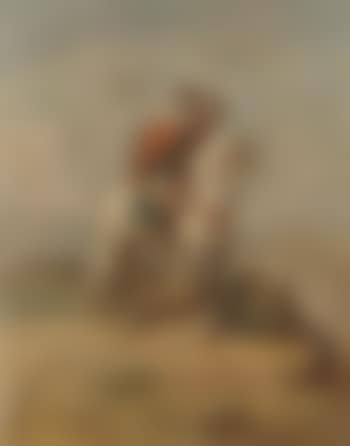 Bedouin on horseback looking out (preview)