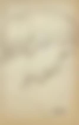 Portrait de jeune femme de profil (preview)