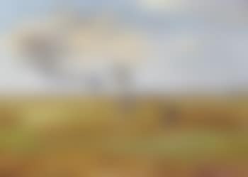 Geese in flight over the heath (preview)