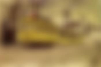 Le tram de Wilrijck (preview)