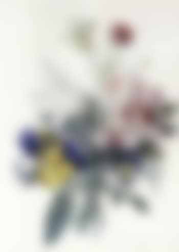 Bouquet with violas, carnations, jasmine and a poppy (preview)