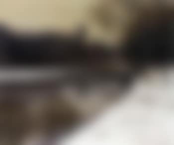 Central Park under snow (preview)