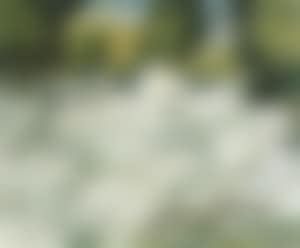 Buttermilk Falls, Haliburton (preview)