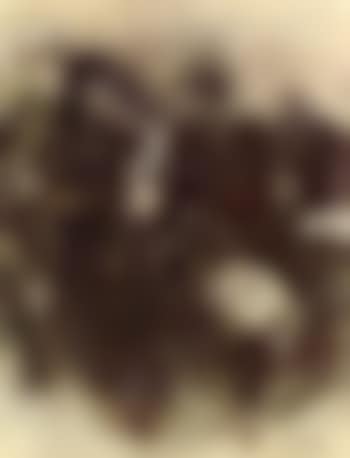 Untitled (preview)
