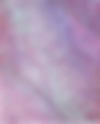 Coquilles (preview)