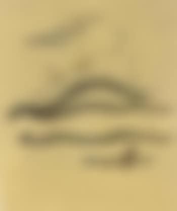 Untitled (preview)