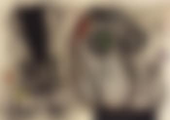 Oiseau nocturne (preview)