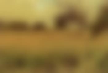 Landscape view (preview)