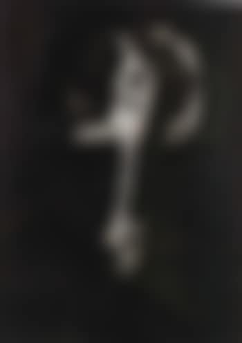 Brigitte Bardot (preview)