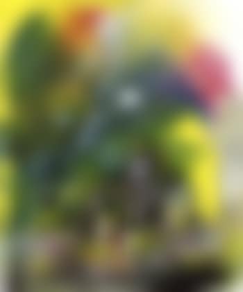 Untitled (preview)