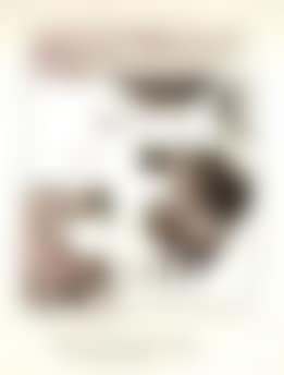 Untitled (preview)