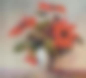 Still life with Christmas stars (preview)