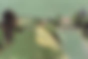 Paysage vert (preview)