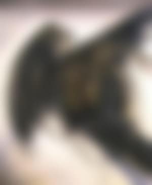 Composition (preview)