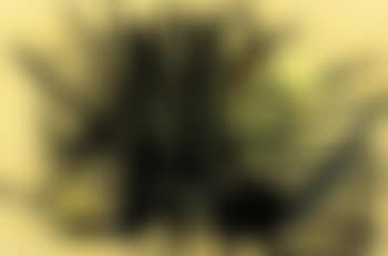 Composition (preview)