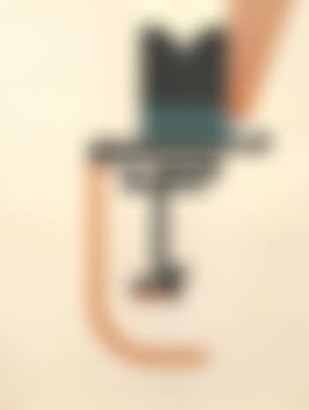 Green week - head series (preview)