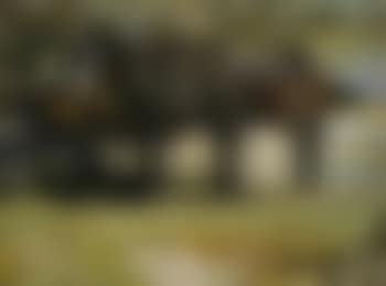 Carthorses in meadow (preview)