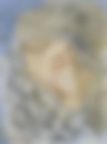 Le sidege de l'air (preview)