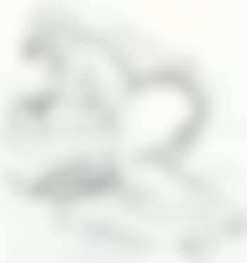 Nude X (preview)