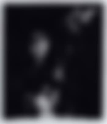 Trampled (preview)