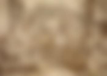 Pavias conquest (preview)