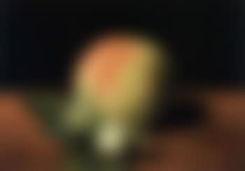 Peach and hazelnuts (preview)
