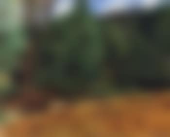 Paysage (preview)