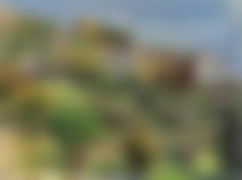Village in southern France (preview)
