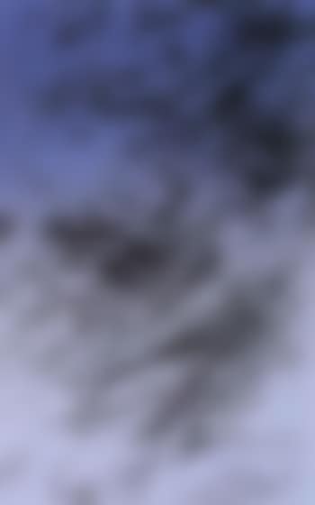T1981-R26 (preview)