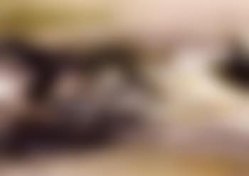 Composition (preview)