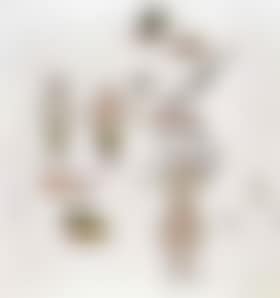 Norsicov (preview)