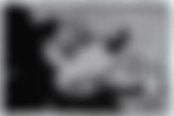 Mickey mouse (preview)