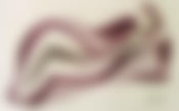 Lying figure (preview)